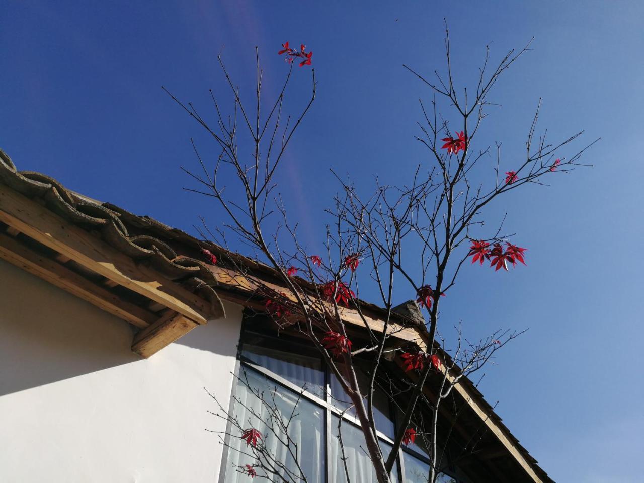 קונמינג Yan Qi Si He Homestay מראה חיצוני תמונה